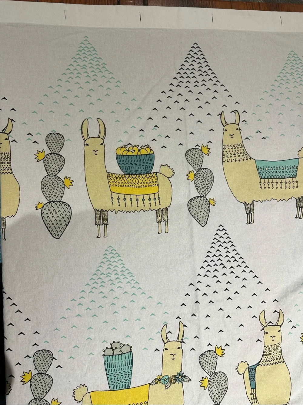 Danica Studio Llamarama Shower Curtain